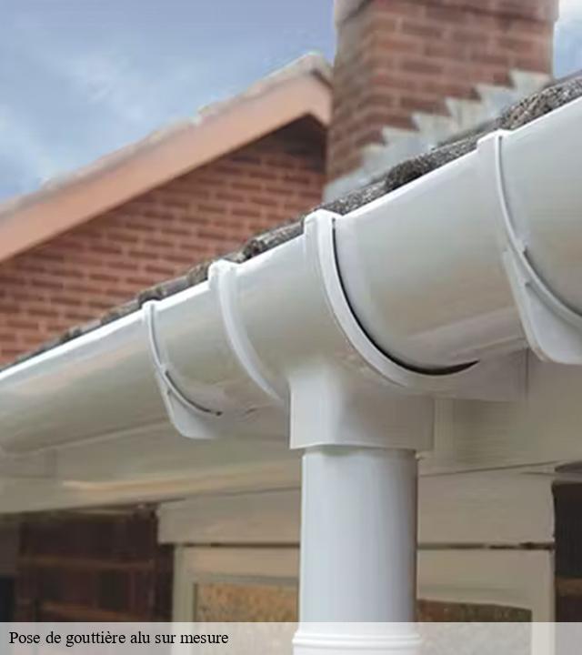 Pose de gouttière alu sur mesure  belgentier-83210 Pro gouttière 83