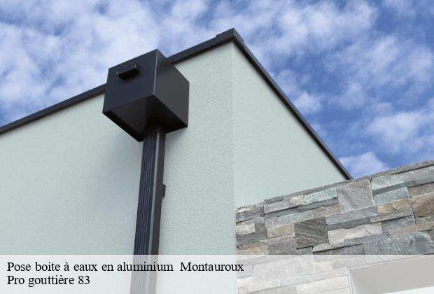 Pose boite à eaux en aluminium   montauroux-83440 Pro gouttière 83