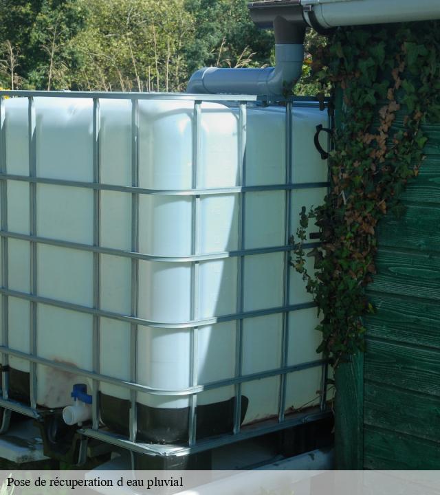 Pose de récuperation d eau pluvial  bagnols-en-foret-83600 Pro gouttière 83