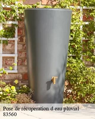 Pose de récuperation d eau pluvial  ginasservis-83560 Pro gouttière 83