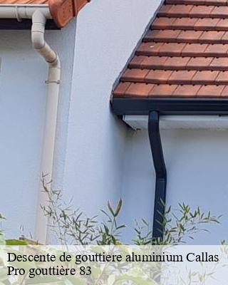 Descente de gouttiere aluminium  callas-83830 Pro gouttière 83