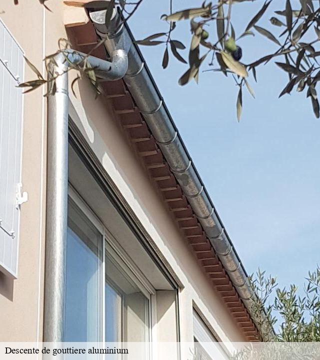 Descente de gouttiere aluminium  frejus-83600 Pro gouttière 83