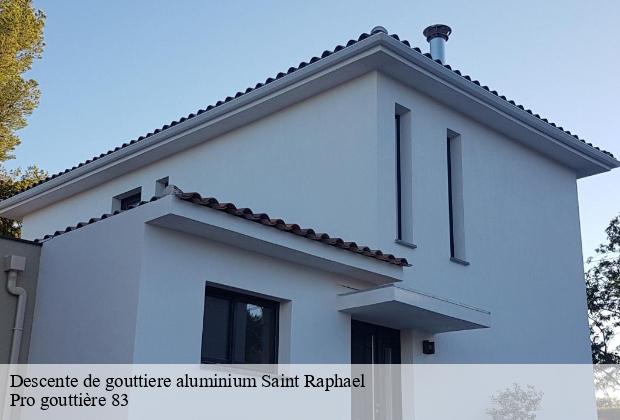 Descente de gouttiere aluminium  saint-raphael-83700 Pro gouttière 83