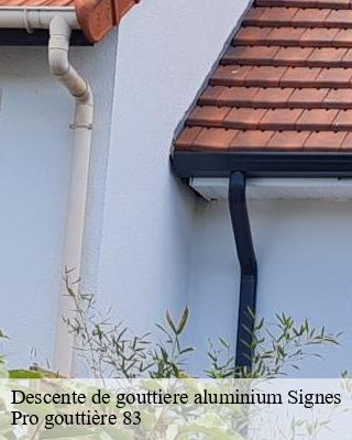 Descente de gouttiere aluminium signes-83870 Pro gouttière 83
