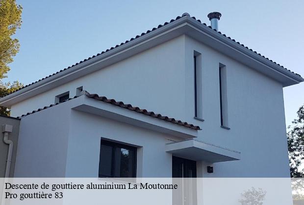 Descente de gouttiere aluminium  la-moutonne-83260 Pro gouttière 83