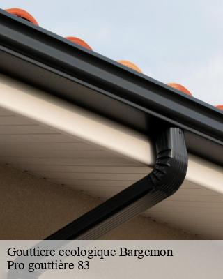 Gouttiere ecologique  bargemon-83830 Pro gouttière 83