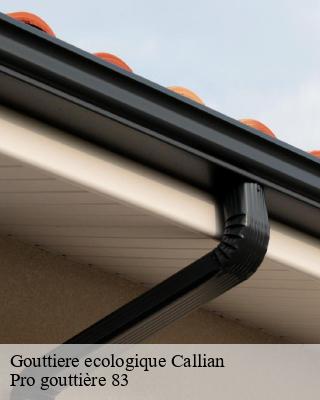 Gouttiere ecologique  callian-83440 Pro gouttière 83