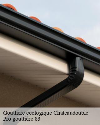 Gouttiere ecologique  chateaudouble-83300 Pro gouttière 83
