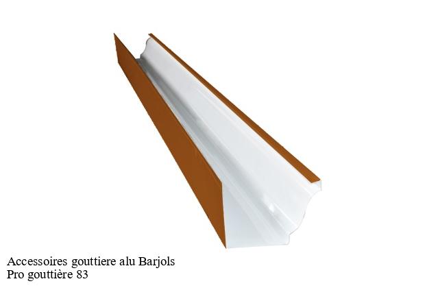 Accessoires gouttiere alu  barjols-83670 Pro gouttière 83