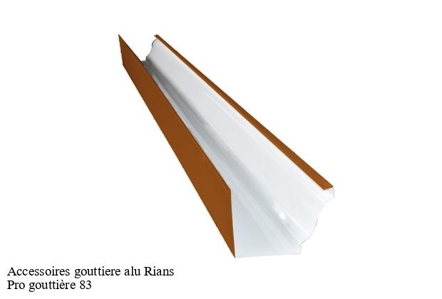 Accessoires gouttiere alu  rians-83560 Pro gouttière 83