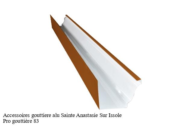 Accessoires gouttiere alu  sainte-anastasie-sur-issole-83136 Pro gouttière 83