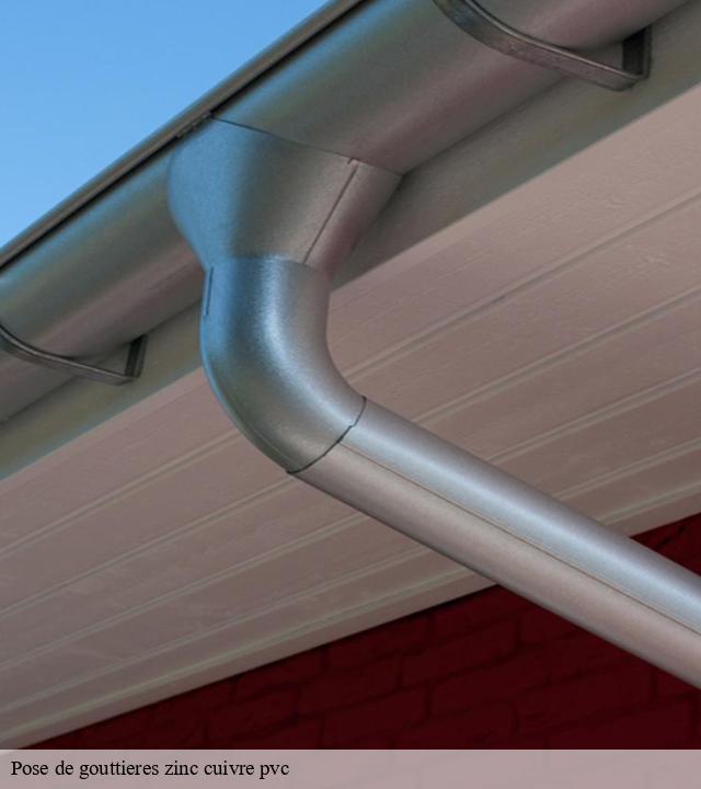 Pose de gouttieres zinc cuivre pvc  rians-83560 Pro gouttière 83